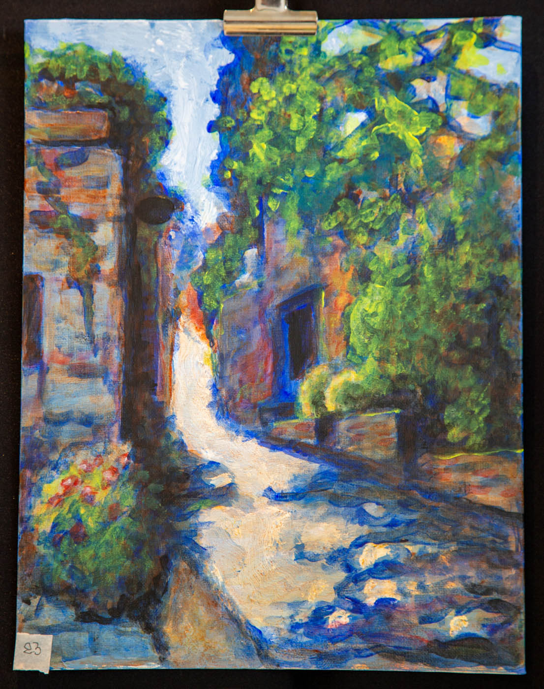 2026-08-23- Castelnou- Pintura-2821